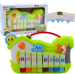 Gozdni glasbeni pianinko in ksilofon s kartami not (5 kos)