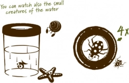 Navir Explora velik kozarec za opazovanje žuželk