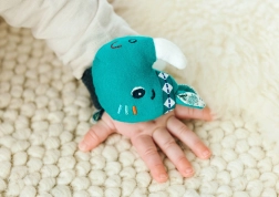 Lilliputiens ropotajoča zapestnica nosorog Marius