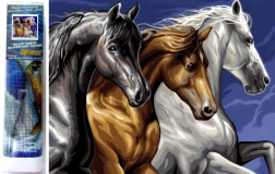 Diamantno slikanje Divji trio 30 × 40 cm