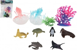 Set morskih živalic in koral