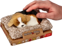 Lajajoči beagle na blazinici