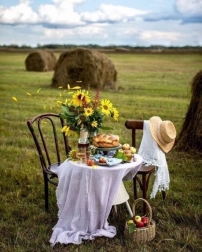 Diamantno slikanje Zajtrk na polju 30 × 40 cm