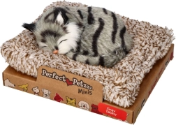 Perfect Petzzz mali siv tigrast mačkon