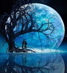 Diamantno Slikanje Mesec nad jezerom 30x40cm