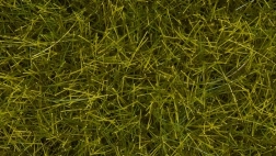 Noch statična trava divja livada 12 mm