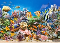 Uganka 260 kosov Barve oceana