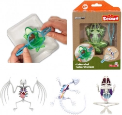 Mini laboratorij za disekcijo – žaba, močeril ali netopir
