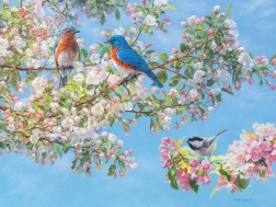 Sestavljanka Cvetlični festival XL 275 koščkov od Cobble Hill