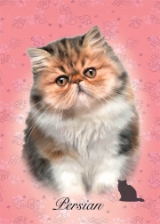 Sestavljanka Perzijska mačka 100 kosov