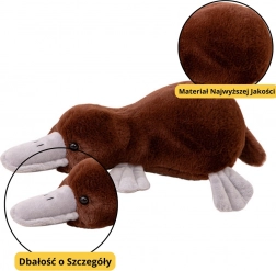 Rjava plišasta igrača kljunaš 32 cm