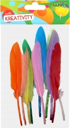 Kreativni set dekorativnih peres