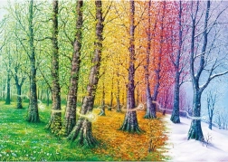 Sestavljanka Vlakna življenja 1000 koščkov MAGNOLIA