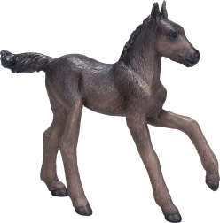 Mojo Arabsko žrebiček črne barve