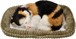 Dihajoči trikolorni mucek na ležišču