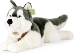 Plišast pes Husky 60 cm EKO PRIJAZNO