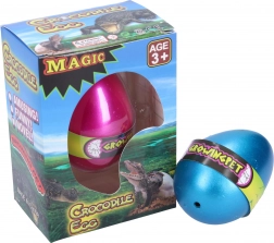 Rastoče krokodilje jajce 6,5 cm