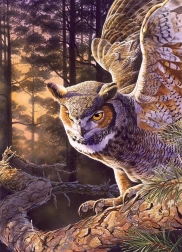 Sestavljanka Večerni Lovec 1000 kosov