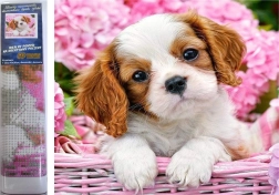 Diamantno slikanje – kužek v rožnatem košarčku 30 × 40 cm