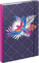 Mape za šolske zvezke A4 Papagaj