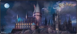 Igralna podloga HARRY POTTER 90 × 40 cm