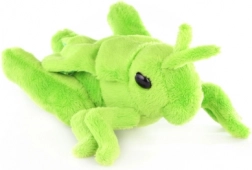 Plišasta travniška kobilica