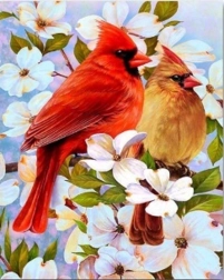 Diamantno slikanje ptice na veji 30 × 40 cm