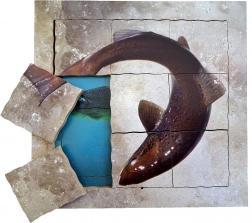 Just Jigsaws Losos in njegov življenjski cikel – lesene večplastne sestavljanke