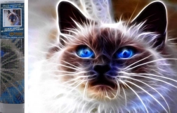 Diamantno slikanje Mačja magija 30 × 40 cm