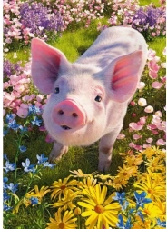 Cherry Pazzi sestavljanka Me imaš rad? 500 koščkov