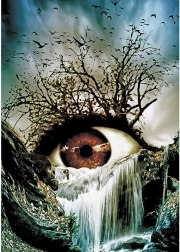 Diamantno slikanje Oko