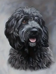 Diamantno slikanje črni cockapoo 30 × 40 cm