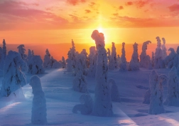 Sestavljanka Finska narava 1000 koščkov