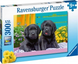 Ravensburger sestavljanka Puppy Life 300 kosov