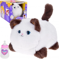 Interaktivna mucka Puszek – mijavka, prede in premika očke