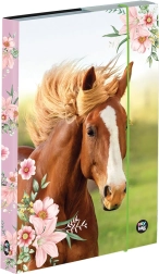 Škatla za zvezke A5 z motivom konja