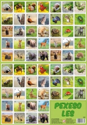 Pexeso Gozd - gozdne živalice