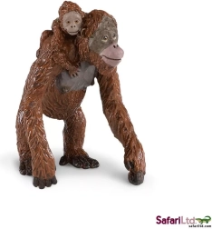 Orangutan z mladičem