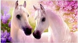 Diamantno slikanje – zaljubljena konja 30x40 cm NORIMPEX