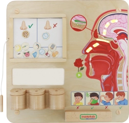 MASTERKIDZ izobraževalna tabla za čut vonja Montessori