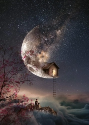 Sestavljanka Šepetanje sanj 1000 koščkov