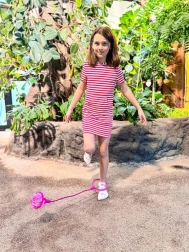 Sporto preskakovalka