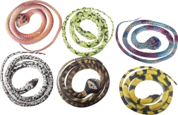 Barviti kačji pastir 75 cm