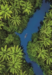 Sestavljanka s tropskim pogledom iz ptičje perspektive