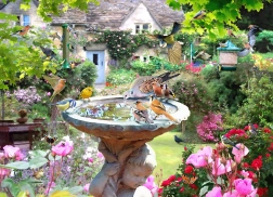 Sestavljanka Poletne ptice 1000 koščkov