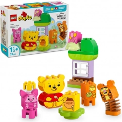 LEGO DUPLO Disney 10457 Rojstnodnevna zabava medvedka Puja