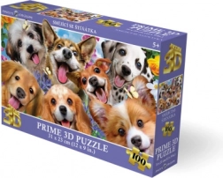 3D puzzle Nasmejana kužka 100 koščkov