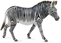 Collectible Grévy's Zebra Figure