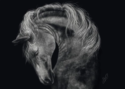 Sestavljanka Moč konja 1000 kosov