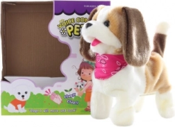 Interaktivni kužek z rutko na plosk